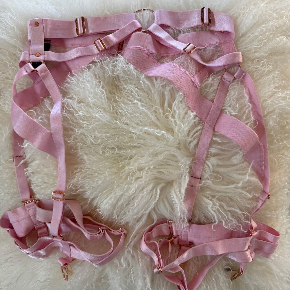 Honey Birdette KUKURO Blush Pink Suspender Belt Garter L NWOT